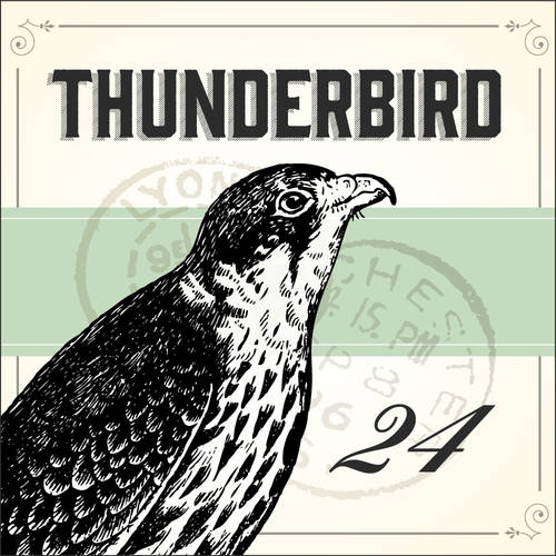 Email Setup for Thunderbird 24